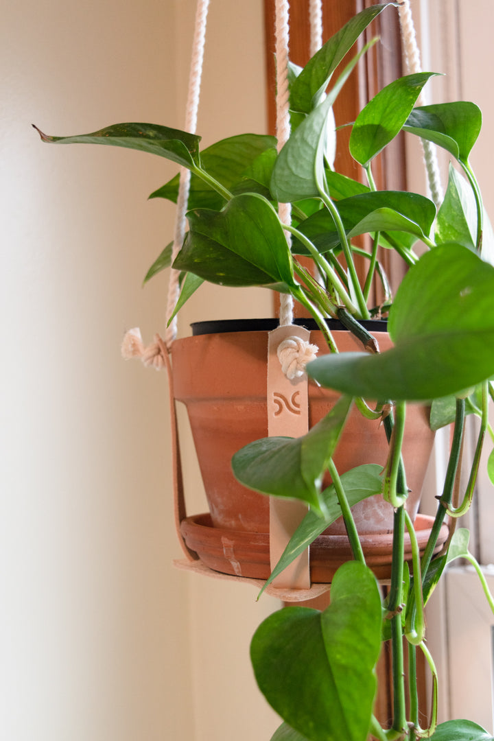 Natural Leather Plant Holder