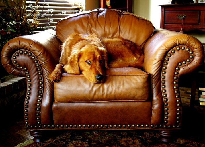 leather goods for the home