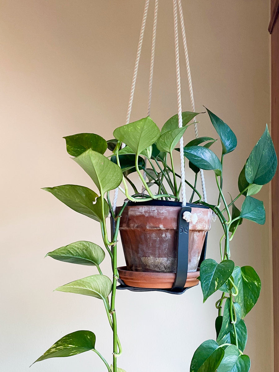Leather Plant Hanger
