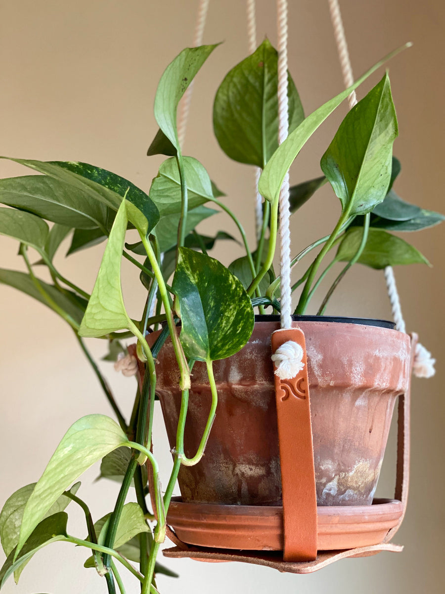 Leather Plant Hanger